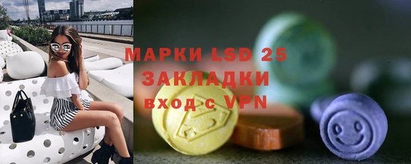 ПСИЛОЦИБИНОВЫЕ ГРИБЫ Алексин