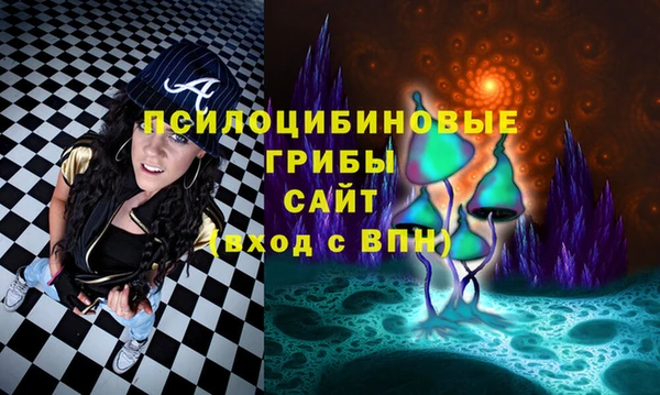 ПСИЛОЦИБИНОВЫЕ ГРИБЫ Алексин