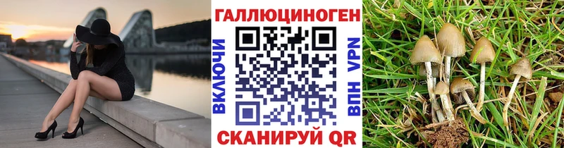 Псилоцибиновые грибы мухоморы где купить гидра ТОР Камызяк