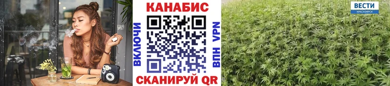 Конопля марихуана  Камызяк 